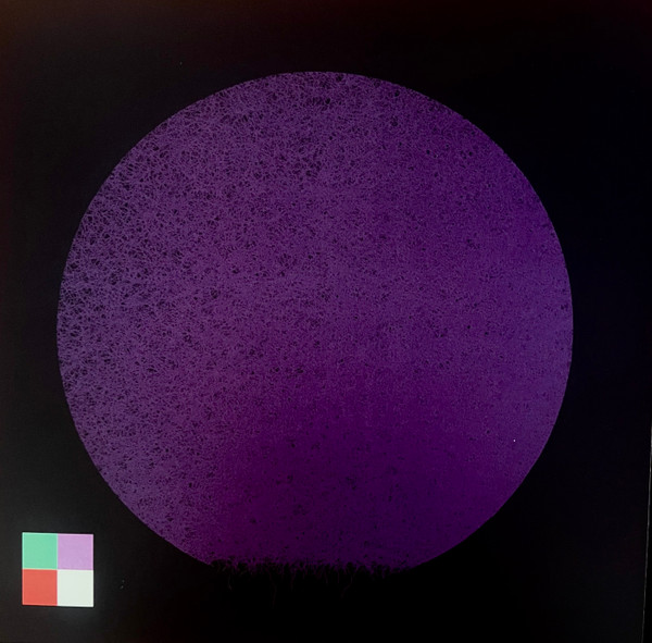 Muriel Grossmann / Tõnu Naissoo – Muriel Grossmann / Tõnu Naissoo