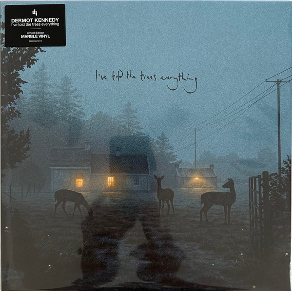 Dermot Kennedy – I've Told The Trees Everything