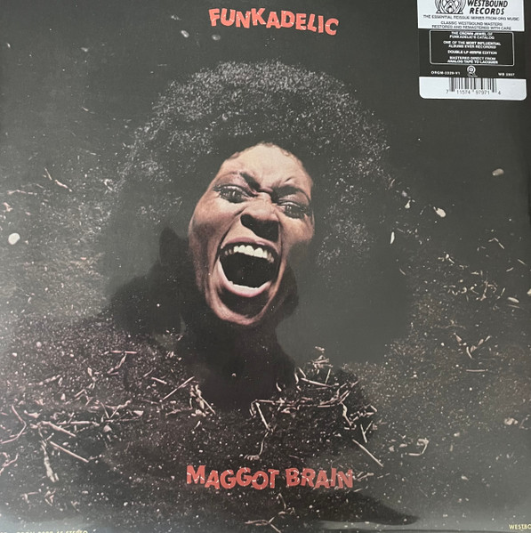 Funkadelic – Maggot Brain