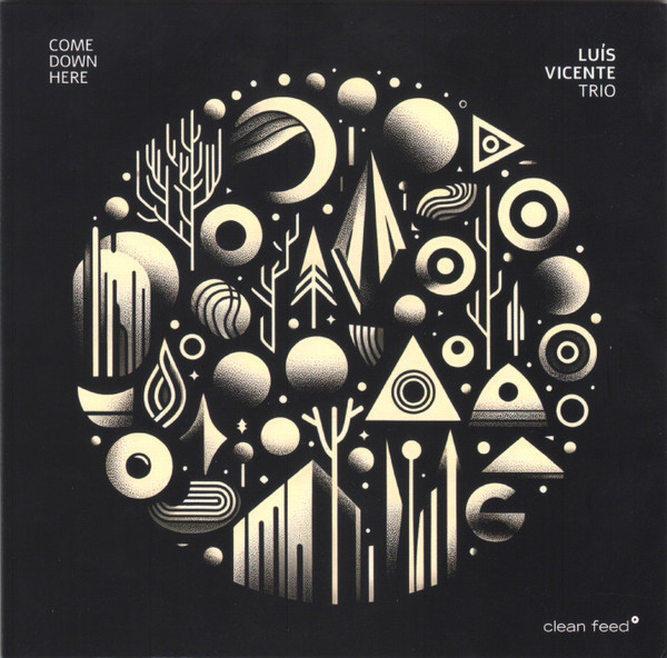 Luís Vicente Trio – Come Down Here