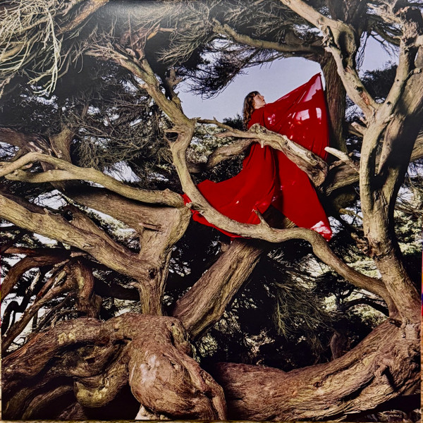 Hannah Frances – Nested In Tangles