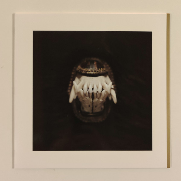 Amenra – De Toorn