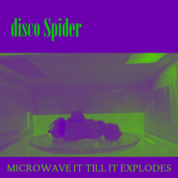 Disco Spider – Microwave it till it explodes