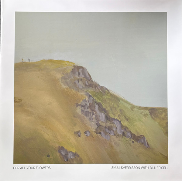 Skúli Sverrisson With  Bill Frisell – For All Your Flowers
