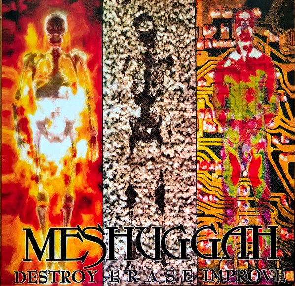 Meshuggah – Destroy Erase Improve