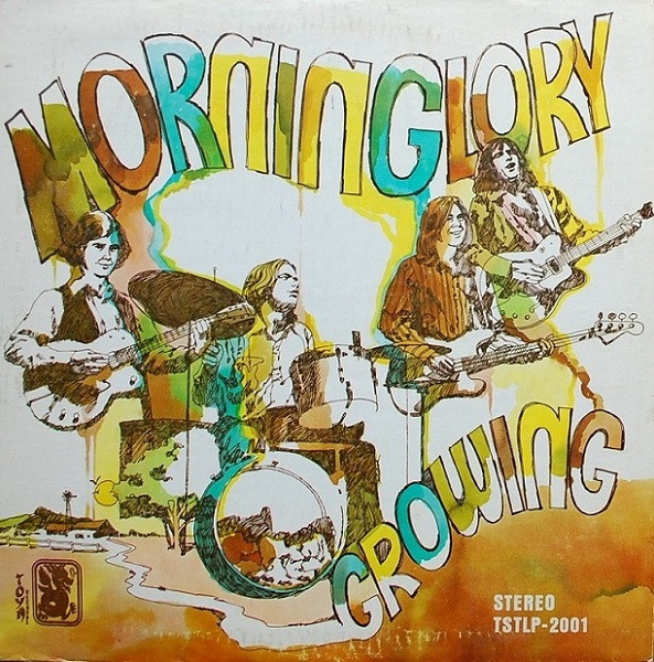 Morninglory – Growing