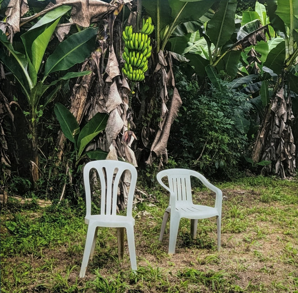 Bad Bunny – Debí Tirar Más Fotos