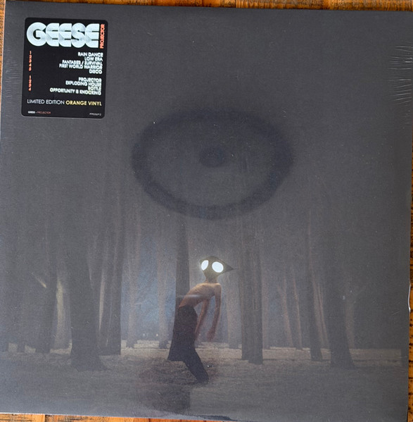 Geese – Projector