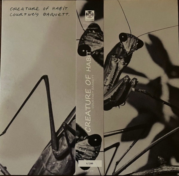 Courtney Barnett – Creature Of Habit