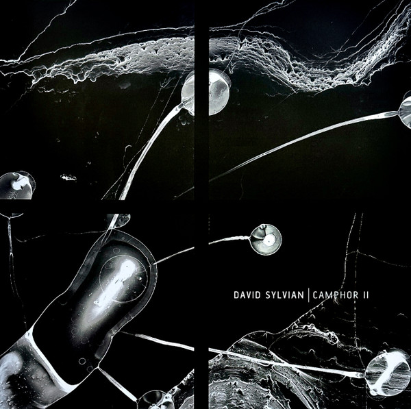 David Sylvian – Camphor II