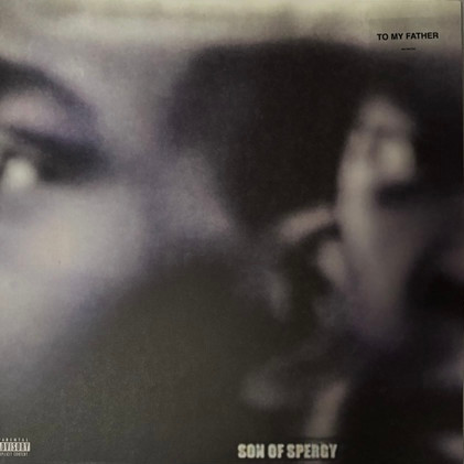 Daniel Caesar – Son of Spergy