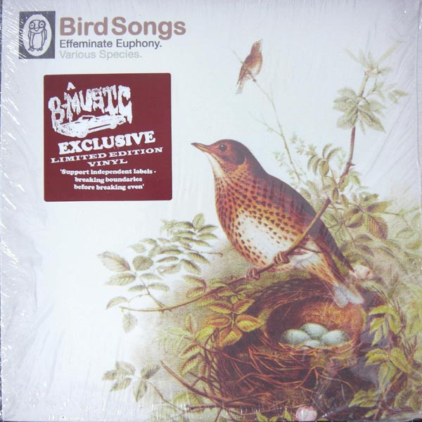 Various – Bird Songs