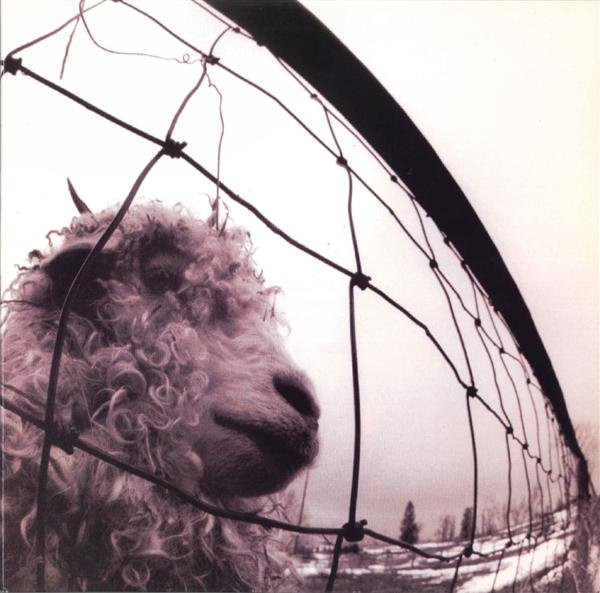 Pearl Jam – Vs.