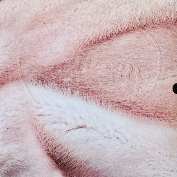 Melanie Martinez – Cry Baby