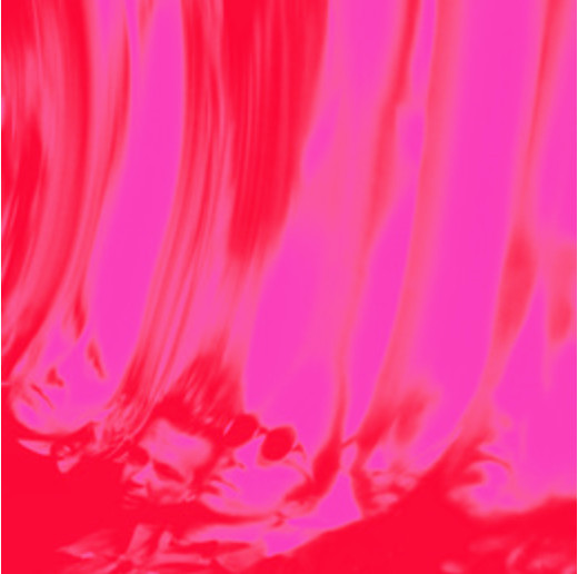 Ty Segall – Love Fuzz