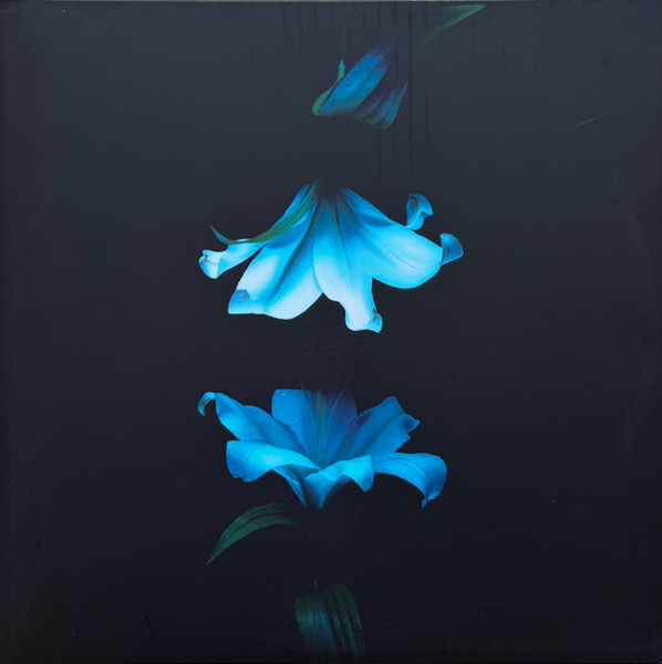 Wasia Project – Nocturne