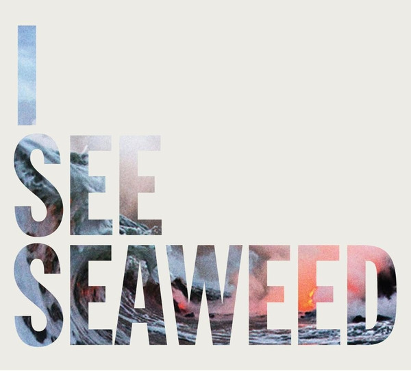 The Drones – I See Seaweed