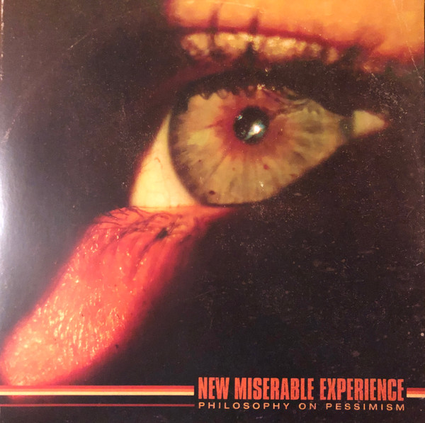 New Miserable Experience – Philosophy On Pessimism