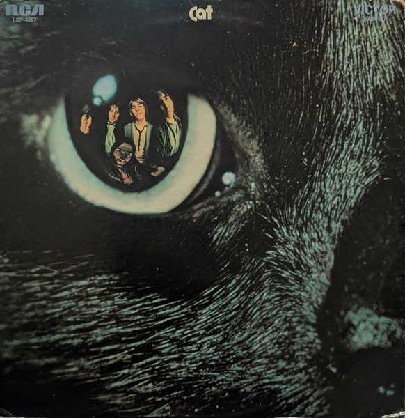 Cat – Cat