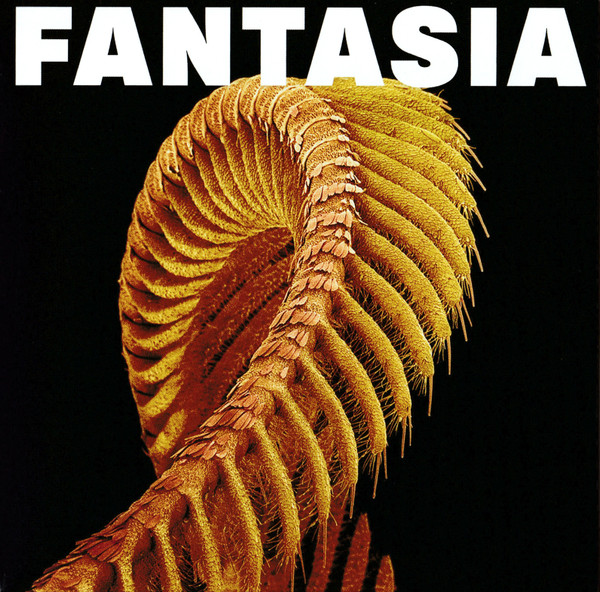 Slift – Fantasia