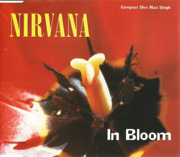 Nirvana – In Bloom