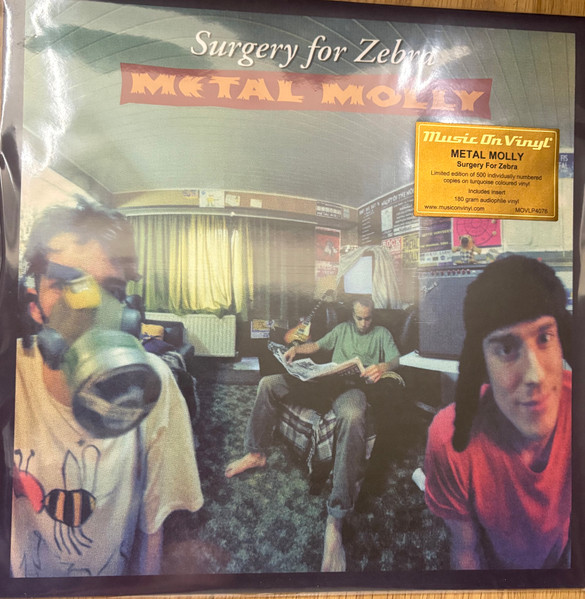 Metal Molly – Surgery For Zebra
