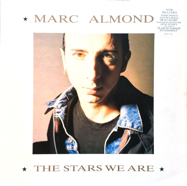 Marc Almond – The Stars We Are