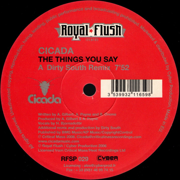 Cicada – The Things You Say