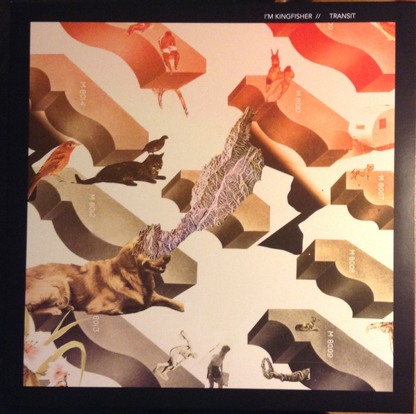 I'm Kingfisher – Transit