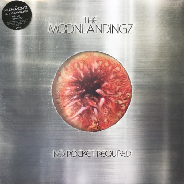 The Moonlandingz – No Rocket Required