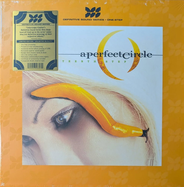 A Perfect Circle – Thirteenth Step