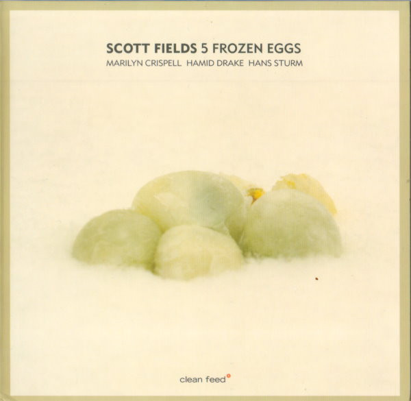 Scott Fields – 5 Frozen Eggs 