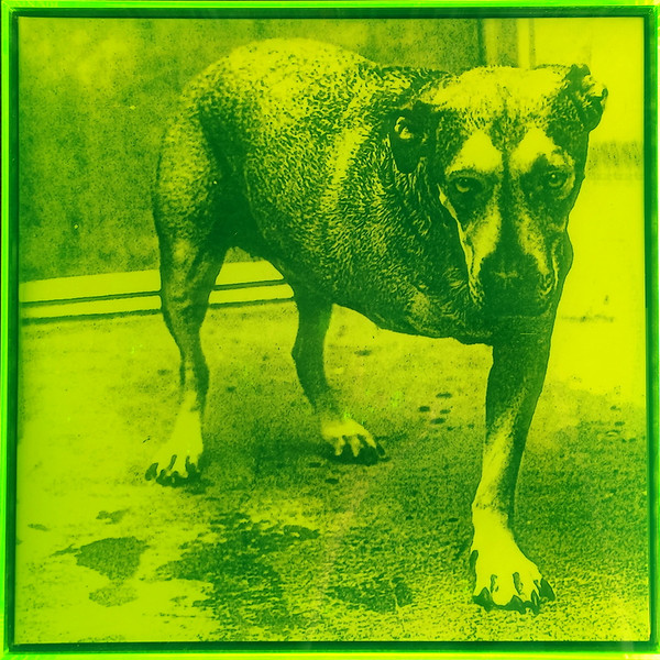 Alice In Chains – Alice In Chains