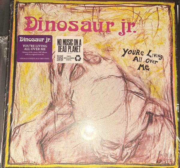 Dinosaur Jr. – You're Living All Over Me