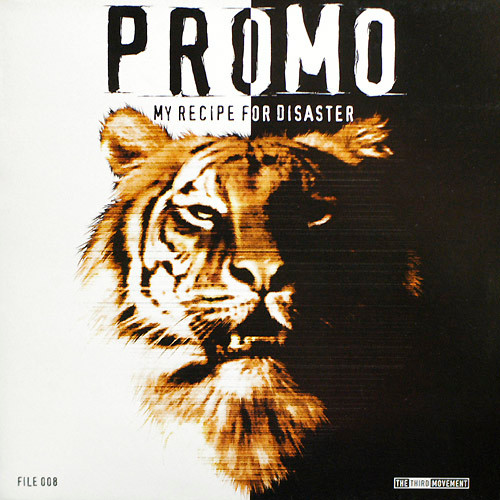Promo – My Recipe For Disaster