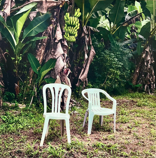Bad Bunny – Debí Tirar Más Fotos
