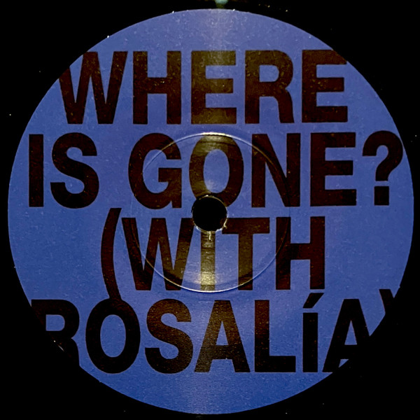 Fontaines D.C. With  Rosalía – Where Is Gone?