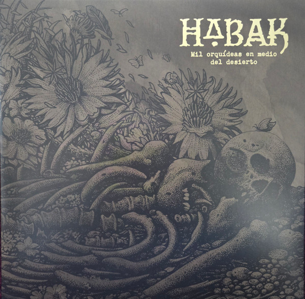 HABAK – Mil Orquídeas en Medio del Desierto