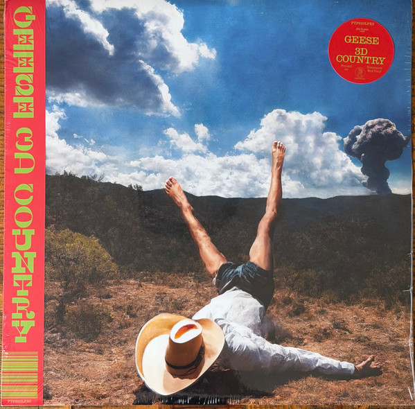 Geese – 3D Country 