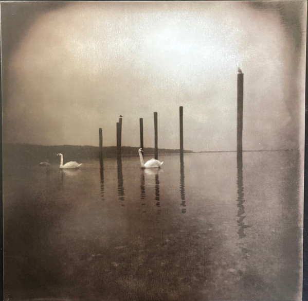 OM – Conference Of The Birds